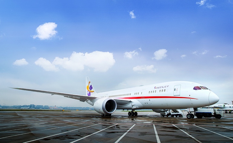 Photo du Boeing 787-8 BBJ